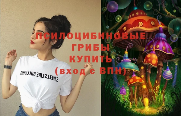 a pvp Алексин